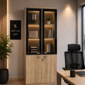 2-Door Office Cupboard