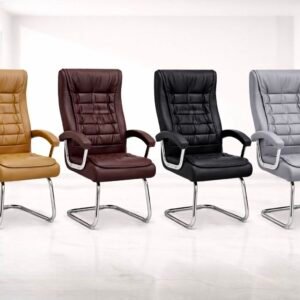 Executive Fixed Chair – Premium Colors Range